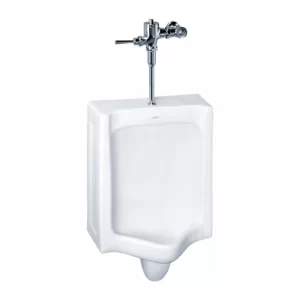 Tiểu Nam COTTO C303 Treo Tường - 3