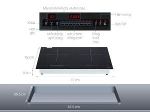 BẾP TỪ LORCA TA-1008 VN