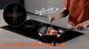 BẾP TỪ ĐÔI HAWONKOO CEH-230-II