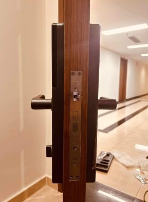 KHÓA THÔNG MINH DEMAX SL628 CB