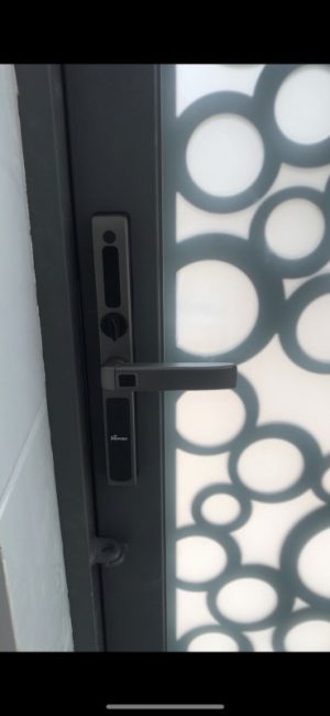 KHÓA THÔNG MINH DEMAX SL688 AG