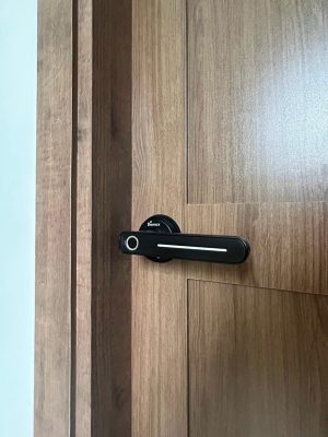 KHÓA VÂN TAY DEMAX SL108 BL