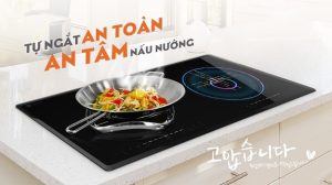 BẾP TỪ ĐÔI HAWONKOO CEH-230-II