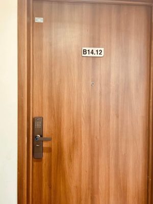 KHÓA THÔNG MINH DEMAX SL628 CB