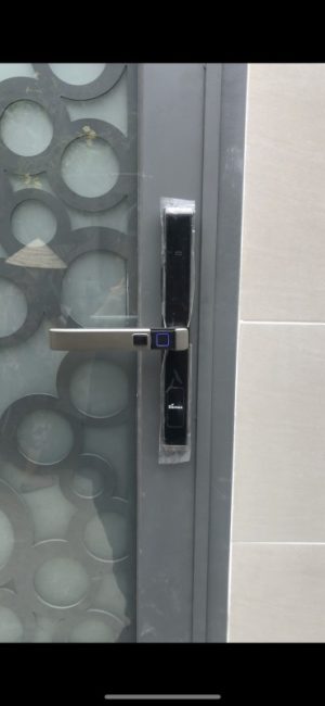 KHÓA THÔNG MINH DEMAX SL688 AG