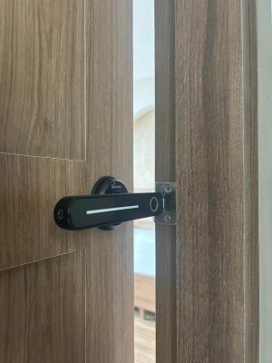 KHÓA VÂN TAY DEMAX SL108 BL