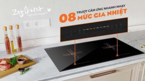 BẾP TỪ ĐÔI HAWONKOO CEH-230-II