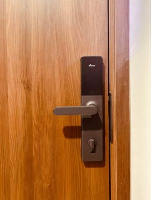 KHÓA THÔNG MINH DEMAX SL628 CB