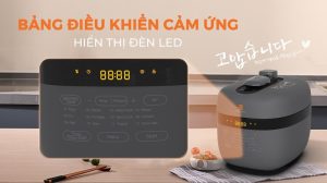 NỒI ÁP SUẤT HAWONKOO PCH-500-GR