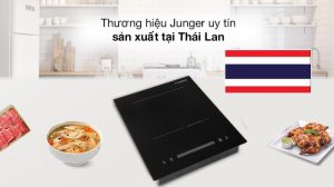 BẾP TỪ ĐƠN JUNGER IS-22