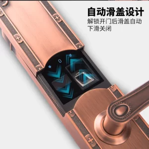 KHÓA VÂN TAY HUBERT HB DS77 COPPER - 10 KHÓA VÂN TAY HUBERT HB DS77 COPPER - 9