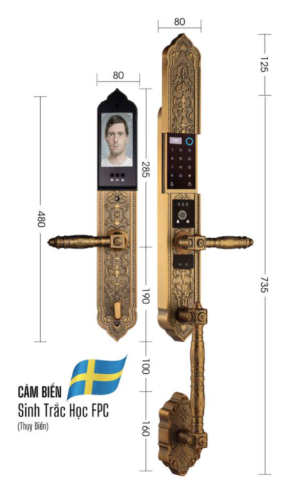 KHÓA ĐẠI SẢNH BIỆT THỰ CAO CẤP DEMAX SL986 GB APP WIFI