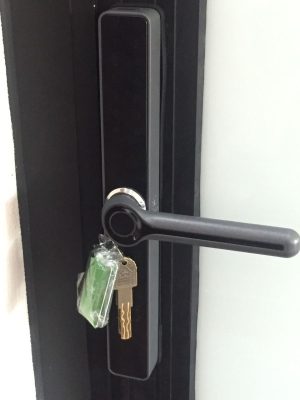 KASSLER KL-599 LX GRAY