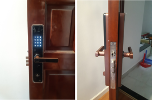 KASSLER KL-669 COPPER