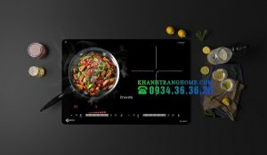 Bếp từ Dmestik ML206 DKI - 1 BẾP TỪ DMESTIK ML206 DKI