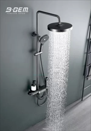 SEN CÂY NÓNG LẠNH B-GEM B-1001BB - 7 SEN CÂY NÓNG LẠNH B-GEM B-1001BB - 6