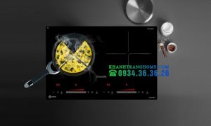 Bếp từ Dmestik ML206 DKI - 2 BẾP TỪ DMESTIK ML206 DKI