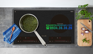 Bếp từ Dmestik ML255 DKI - 2 BẾP TỪ DMESTIK ML255 DKI