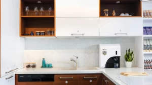 Máy Lọc Nước A. O. Smith C1 - 21