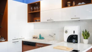 Máy Lọc Nước A. O. Smith C1 - 19