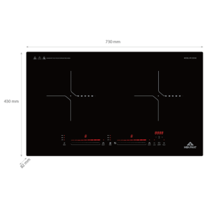 BẾP ĐIỆN TỪ ĐÔI HÒA PHÁT HPC D21A2 - 4