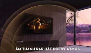 Google Tivi QLED TCL 4K 65 inch 65Q646 - 17