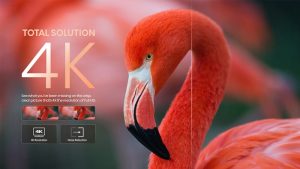 Google Tivi Hisense 4K 55 Inch 55A6500H - 10