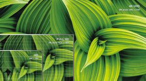 Android Tivi TCL 43 inch 43P725 - 11 Android Tivi TCL 43 inch 43P725 - 10