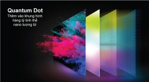 Google Tivi QLED TCL 4K 65 inch 65Q646 - 15