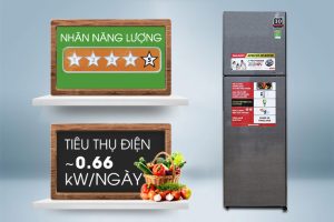 Tủ lạnh Sharp Inverter 271 lít SJ-X281E-DS - 12 Tủ lạnh Sharp Inverter 271 lít SJ-X281E-DS - 11