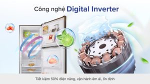 Tủ lạnh Samsung Inverter 236 lít RT22M4032BY/SV - 20