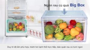 Tủ lạnh Samsung Inverter 236 lít RT22M4032BY/SV - 16