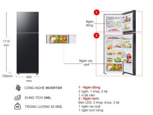 Tủ lạnh Samsung Inverter 348 lít RT35CG5424B1SV - 12