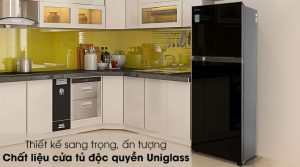 Tủ lạnh Toshiba Inverter 233 lít GR-A28VM(UKG1) - 15 Tủ lạnh Toshiba Inverter 233 lít GR-A28VM(UKG1) - 14