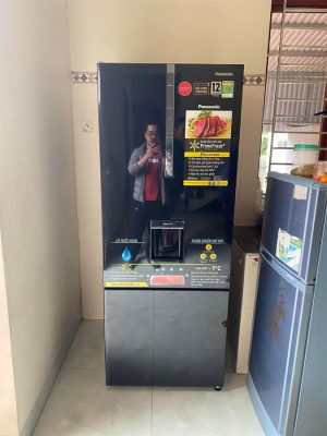 Tủ lạnh Panasonic Inverter 417 lít NR-BX471GPKV - 39