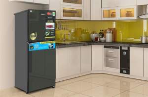 Tủ lạnh Panasonic Inverter 268 lít NR-TV301VGMV - 32