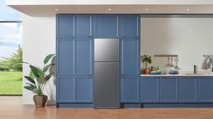 Tủ Lạnh Samsung Inverter 305 Lít RT31CG5424S9SV - 25 Tủ Lạnh Samsung Inverter 305 Lít RT31CG5424S9SV - 24