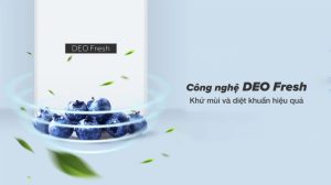 Tủ lạnh Aqua Inverter 292 lít AQR-B350MA(GM) - 14