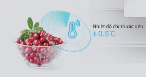 Tủ Lạnh Toshiba Inverter 511 Lít GR-RF610WE-PMV(37)-SG - 27