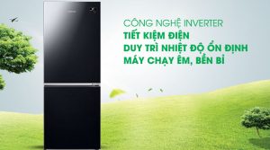 Tủ lạnh Samsung Inverter 280 lít RB27N4010BU/SV - 29
