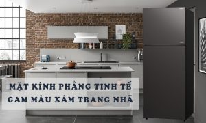 Tủ Lạnh Hitachi Inverter 390 Lít R-FVY510PGV0-GMG - 11