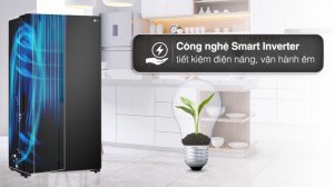 Tủ lạnh LG Inverter 519 lít GR-B256BL - 18
