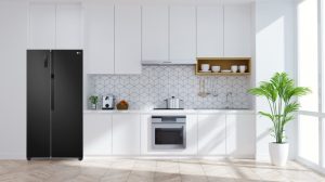 Tủ lạnh LG Inverter 519 lít GR-B256BL - 22