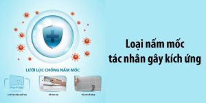 Máy lạnh Toshiba Inverter 1 HP RAS-H10E2KCVG-V - 28