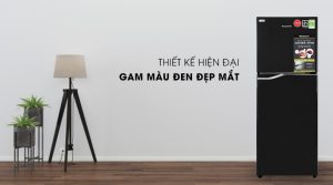 Tủ lạnh Panasonic Inverter 188 lít NR-BA229PKVN - 17