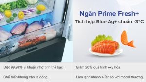 Tủ lạnh Panasonic Inverter 290 lít NR-BV320GKVN - 29 Tủ lạnh Panasonic Inverter 290 lít NR-BV320GKVN - 28