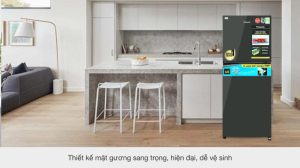 Tủ lạnh Panasonic Inverter 268 lít NR-TV301VGMV - 20