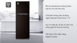 Tủ lạnh Samsung Inverter 236 lít RT22M4032BY/SV - 14