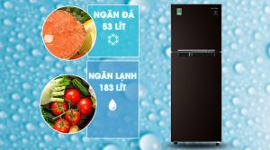 Tủ lạnh Samsung Inverter 236 lít RT22M4032BY/SV - 22