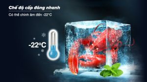 Tủ Lạnh Sharp Inverter 362 Lít SJ-FX420V-SL - 15 Tủ Lạnh Sharp Inverter 362 Lít SJ-FX420V-SL - 14